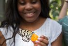 Schülerin füttert einen Schmetterling